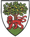 Andover County Shield